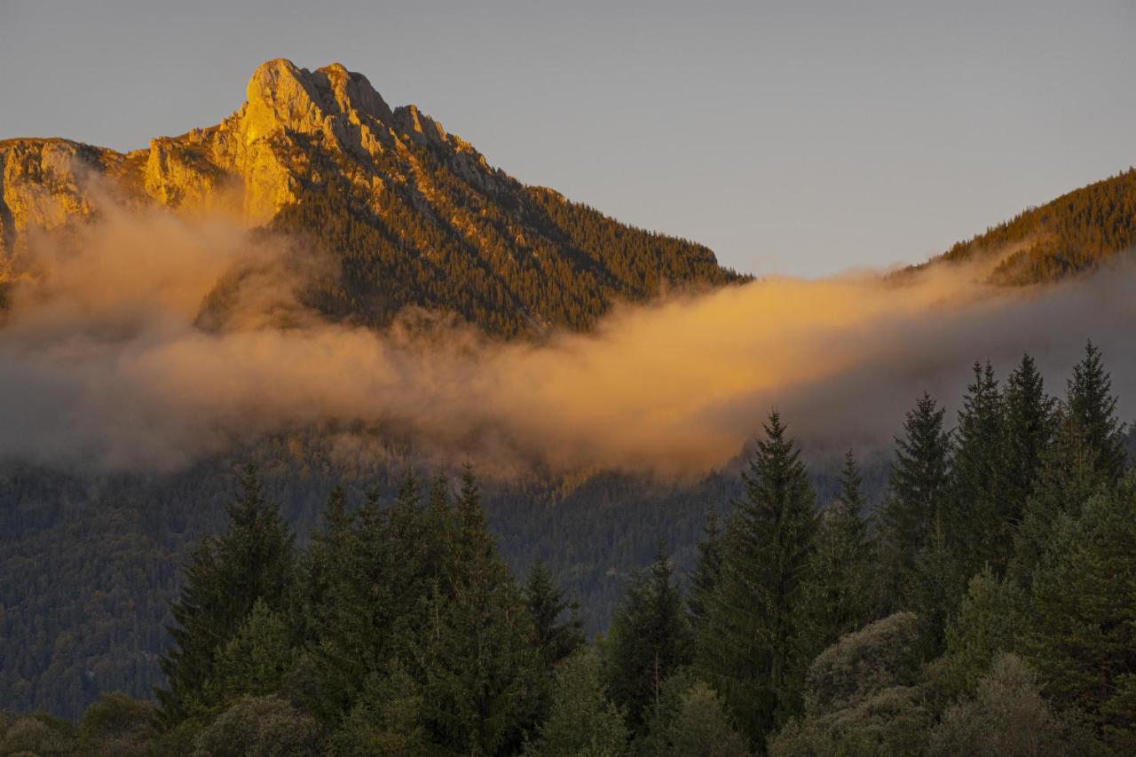 Gori Boutique Apartments - Tirol Reutte Bagian luar foto